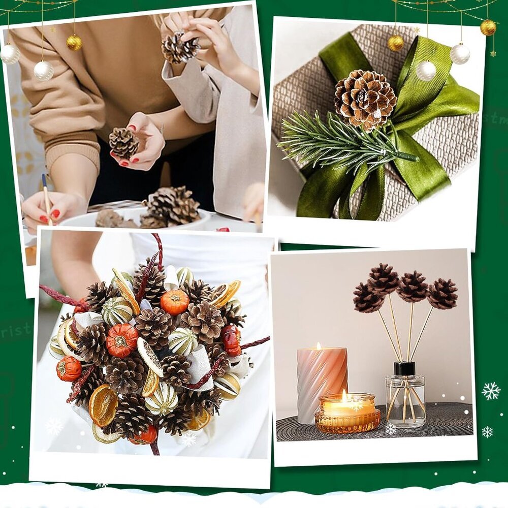 20 Pack 2.4 Inch Pinecones Bulk Package of Natural Pinecones Pine Cones for Craf - Picture 4 of 6